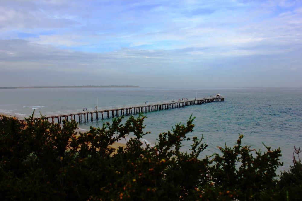 Photograph by Shrinivas Kulkarni