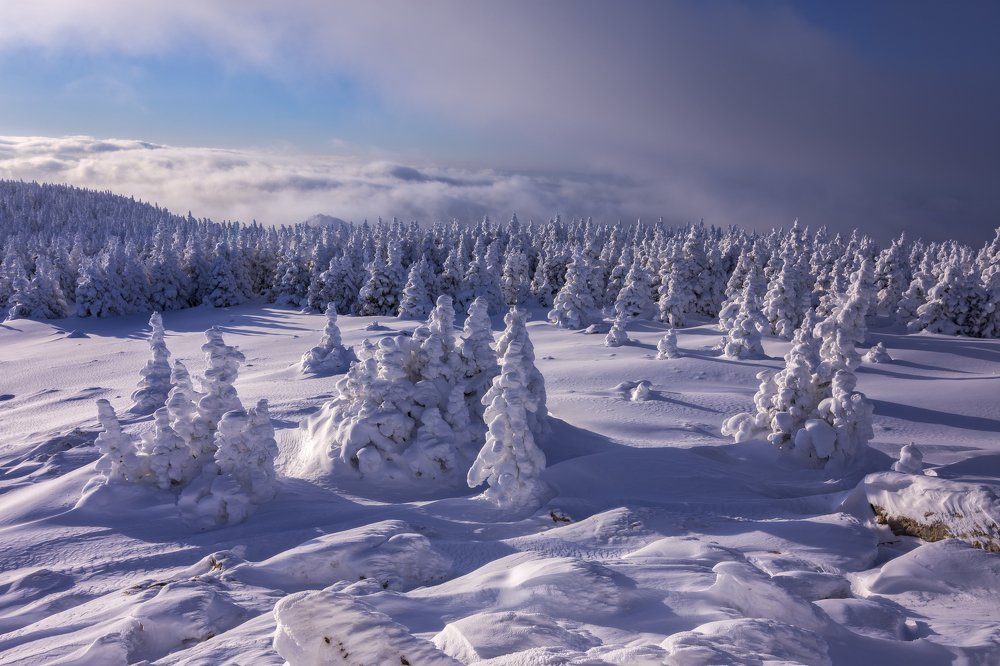 Photograph by Андрей Шарапов