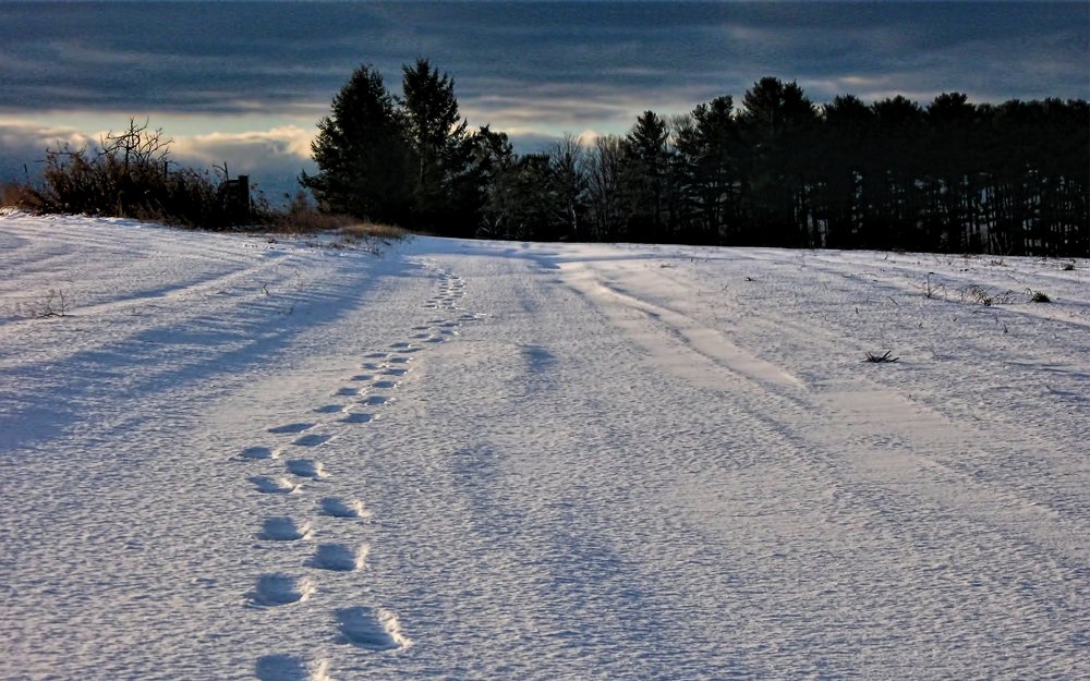 Photograph by Art Bisschop