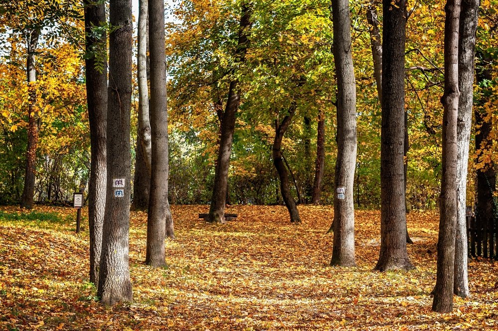 Photograph by Елена Венкова