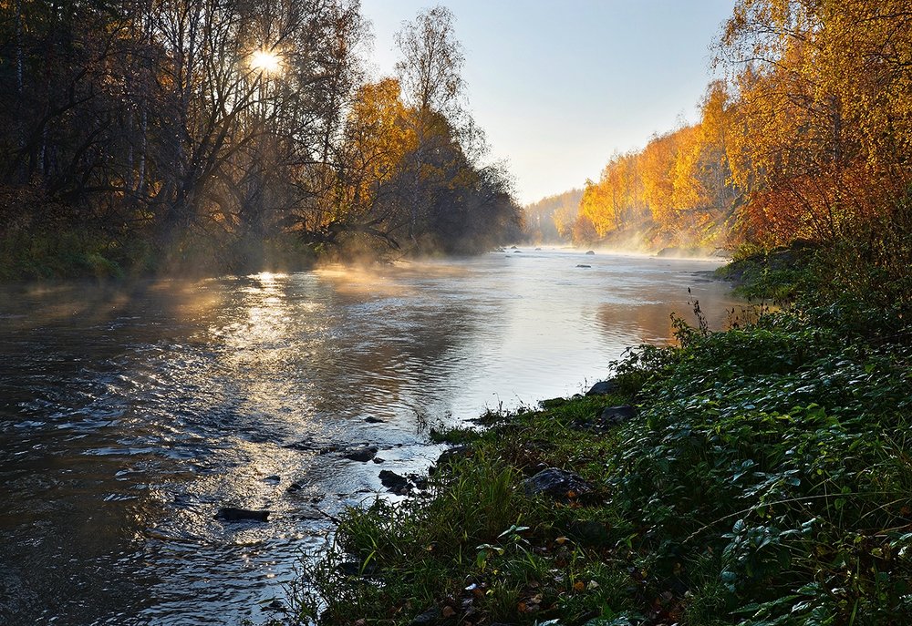 Осеннее утро