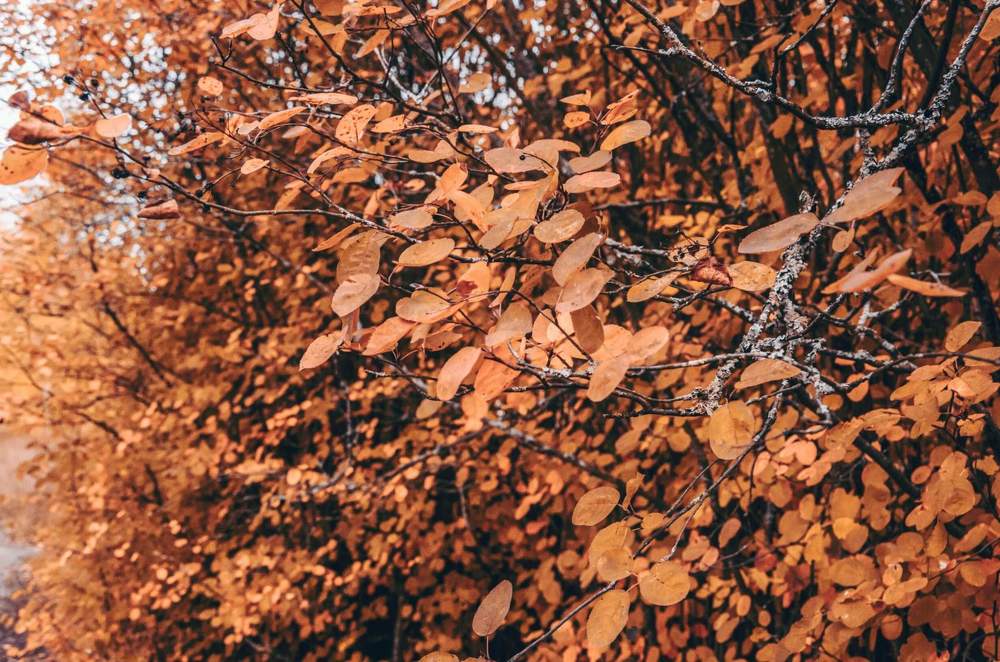 Photograph by Тамара Козлова