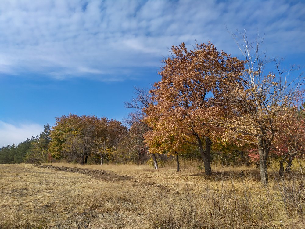 Photograph by Дина Горбачёва