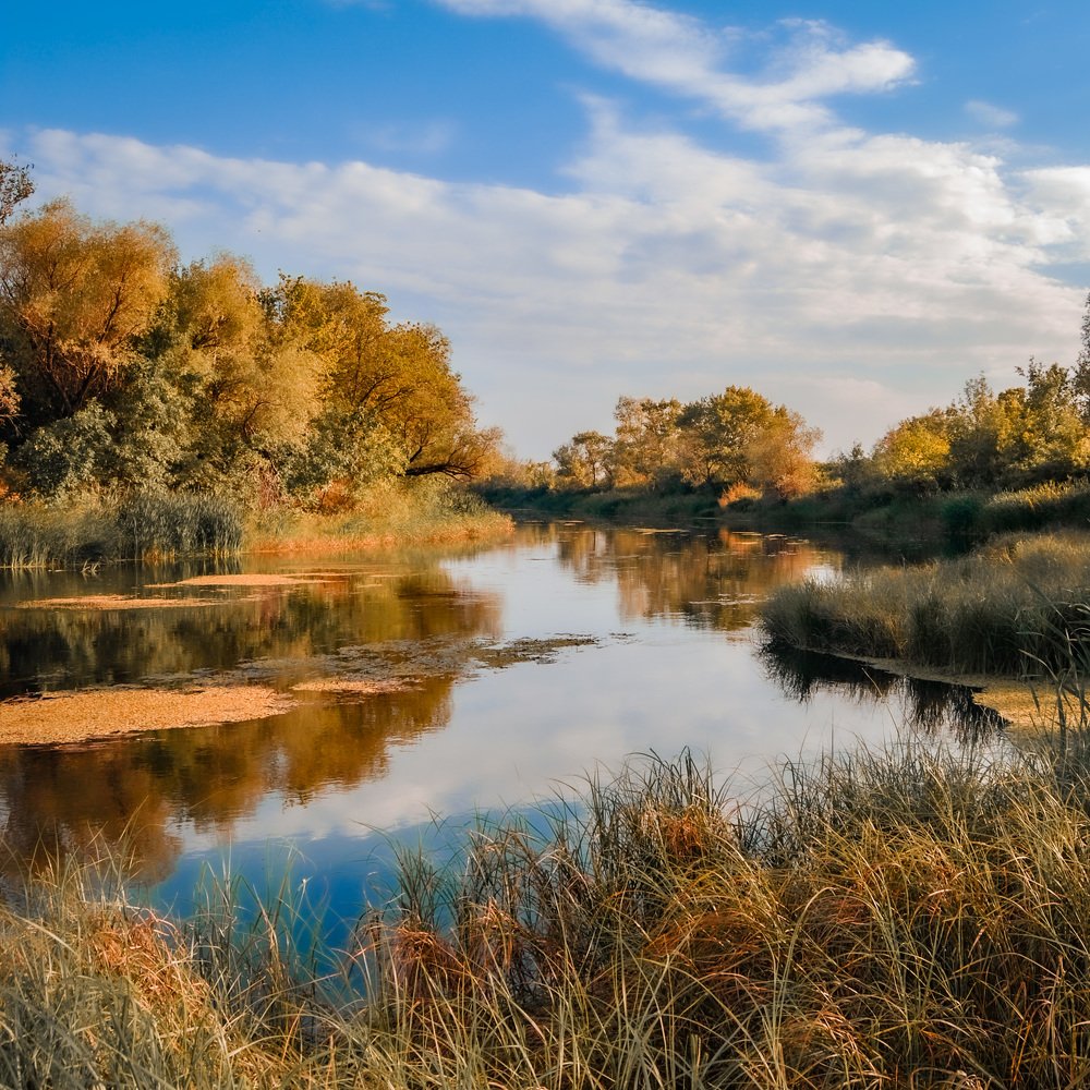 Photograph by Алексей Кремнёв