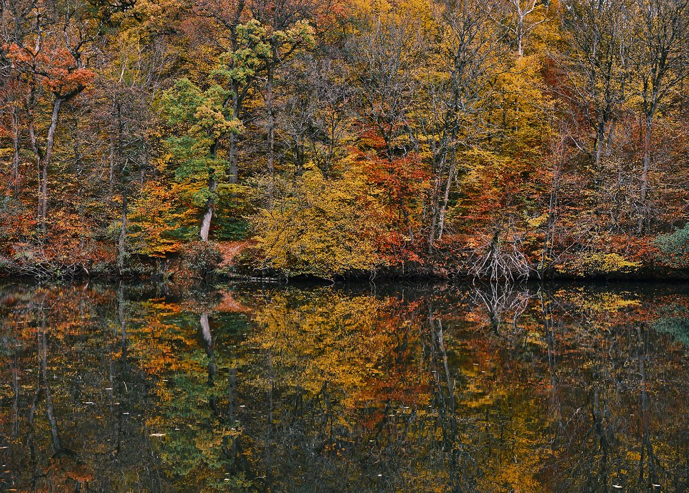 Photograph by Леонид Якутин