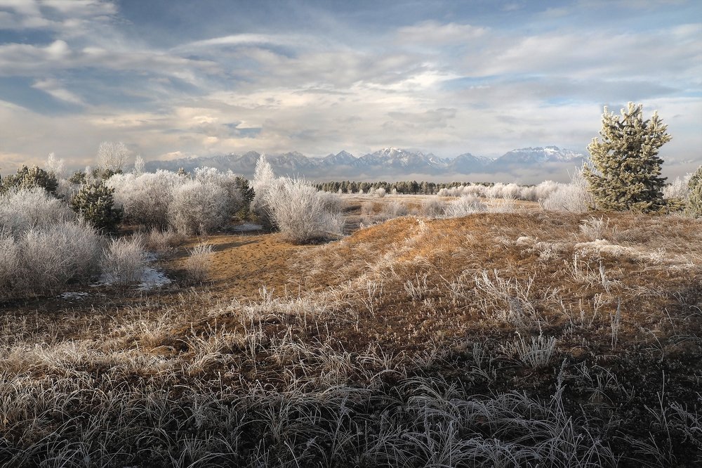 Photograph by Александр Попов