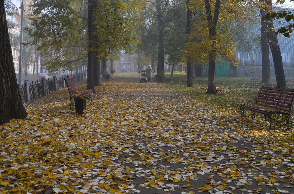 осенний листопад в сквере Оперного театра