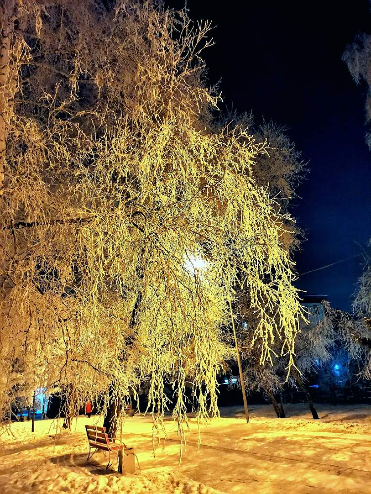 Фотография автора Алексей Новиков