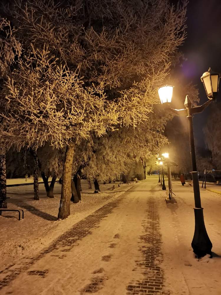 Фотография автора Алексей Новиков