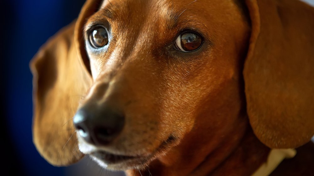 Photograph by Владимир Салапонов