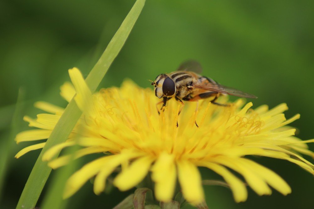 Photograph by Антон Бирюков