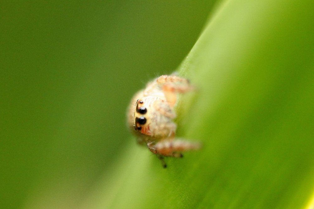 Photograph by Shrinivas Kulkarni