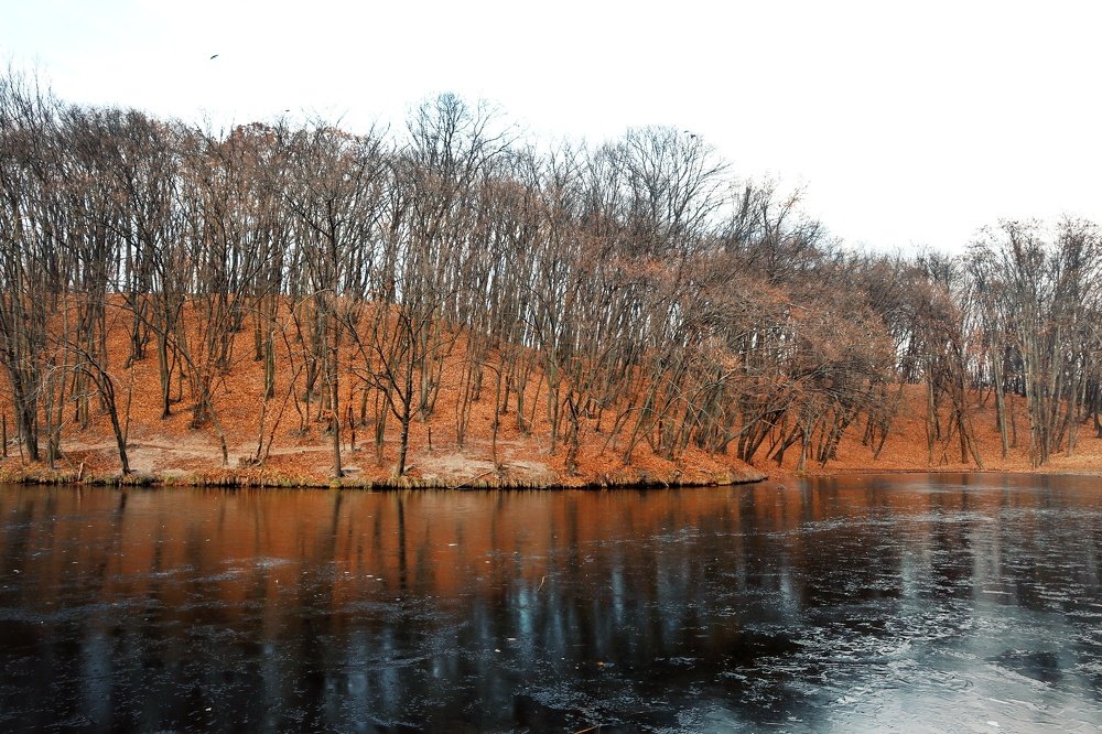 Photograph by Марина Шамич