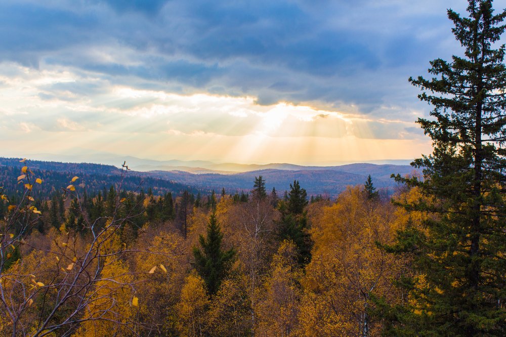 Photograph by Евгения Журавлёва