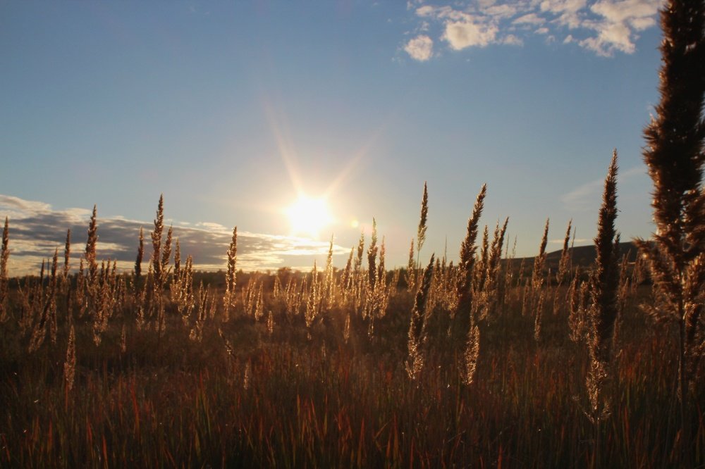 Photograph by Наталья Горбачева