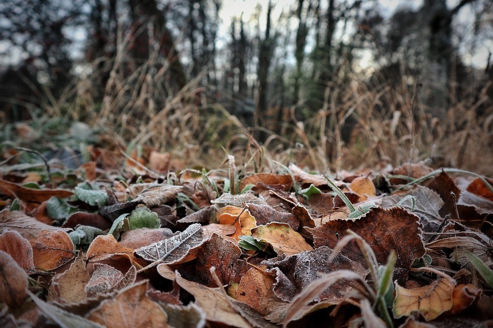 Photograph by Марина Шамич