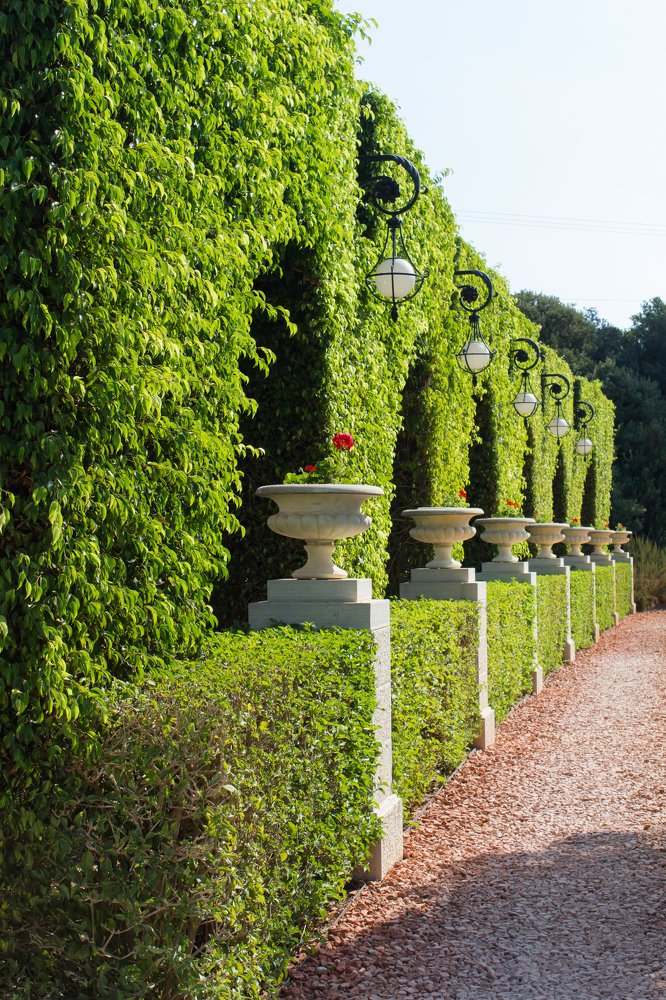 Photograph by Евгения Журавлёва