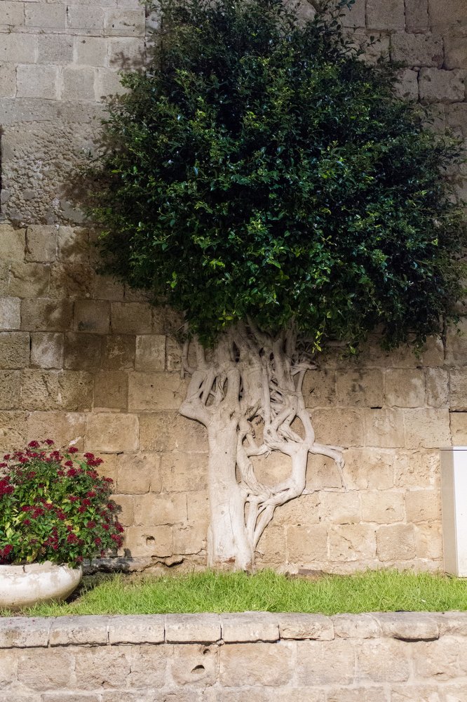 Photograph by Евгения Журавлёва