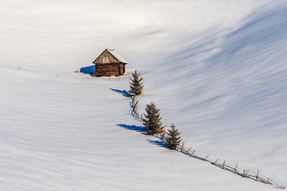 Photograph by Csoti Bela