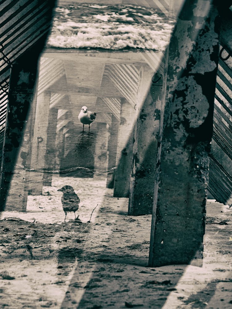 Photograph by андрей гусев