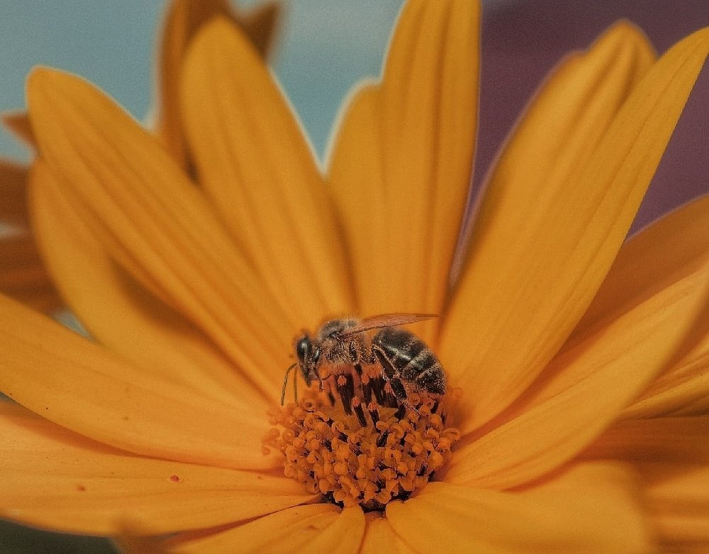 Photograph by Антон Бирюков