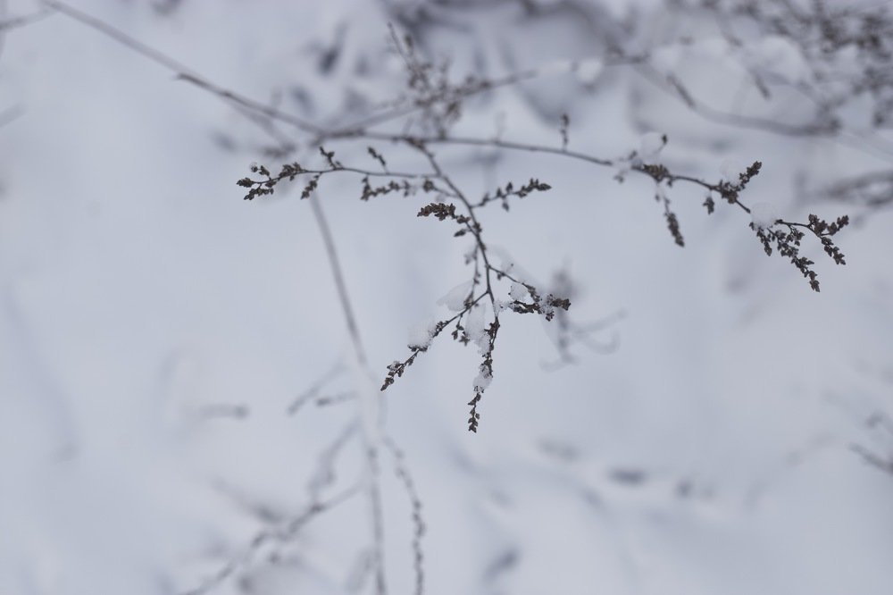 Фотография автора Елизавета Иваськевич