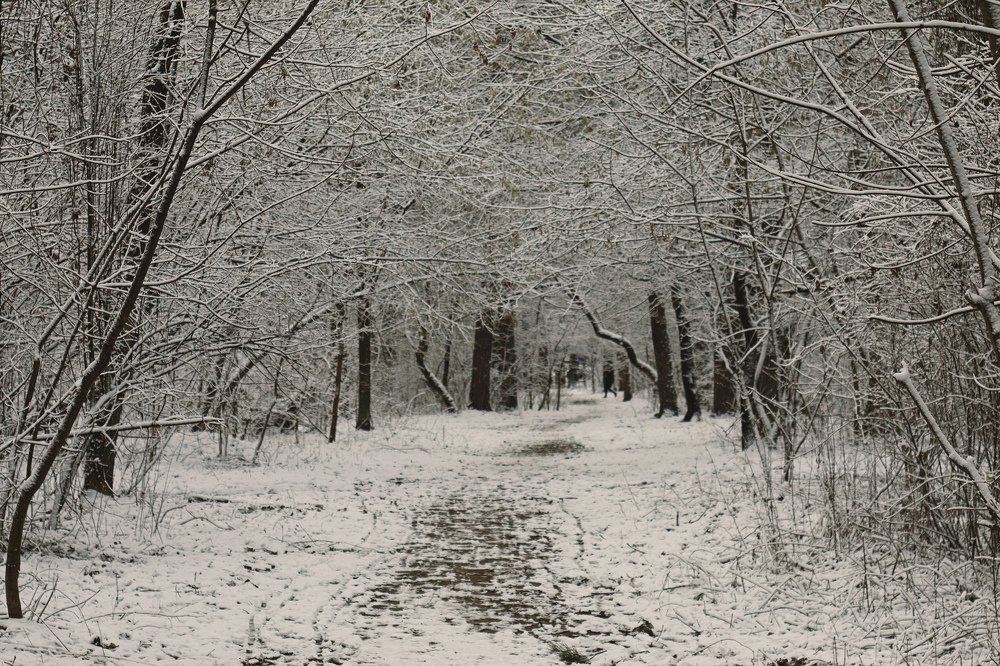 Фотография автора Елизавета Иваськевич