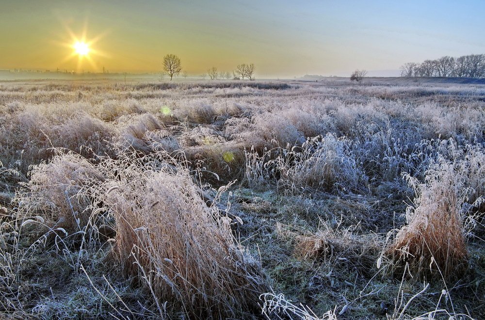 Photograph by Анатолий Святой