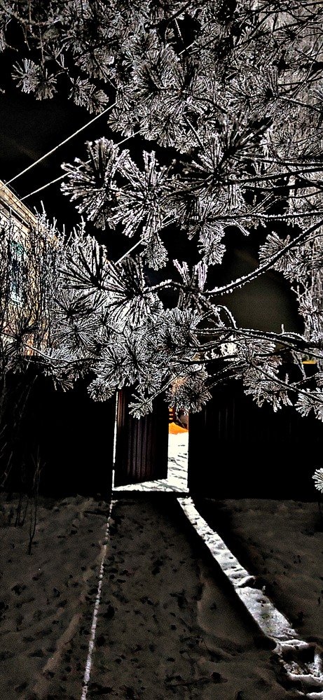 Photograph by Евгений Ужегов