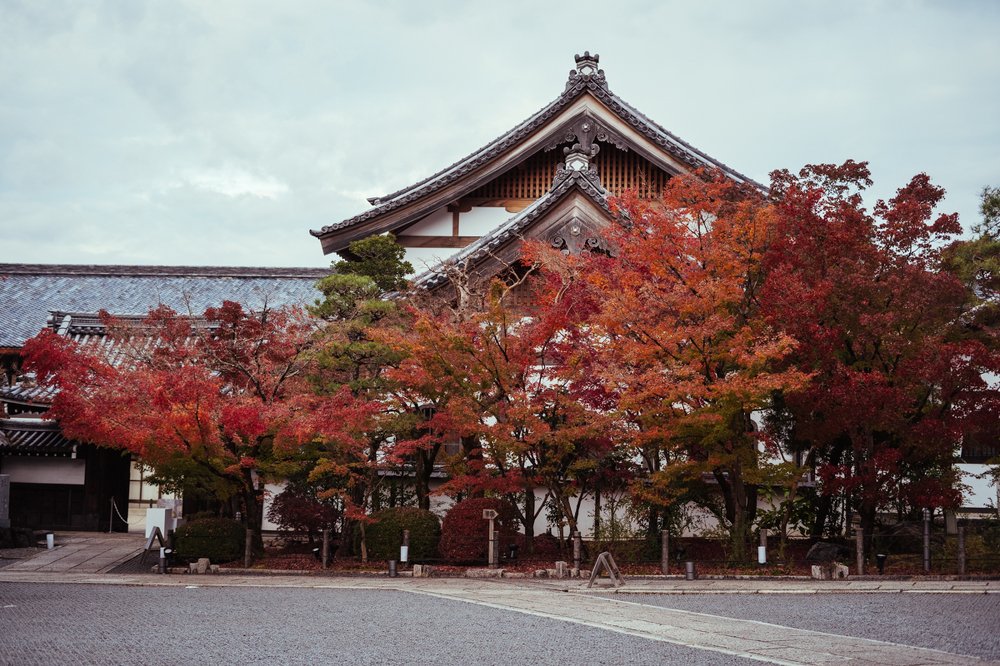 Фотография автора Наталья Барова