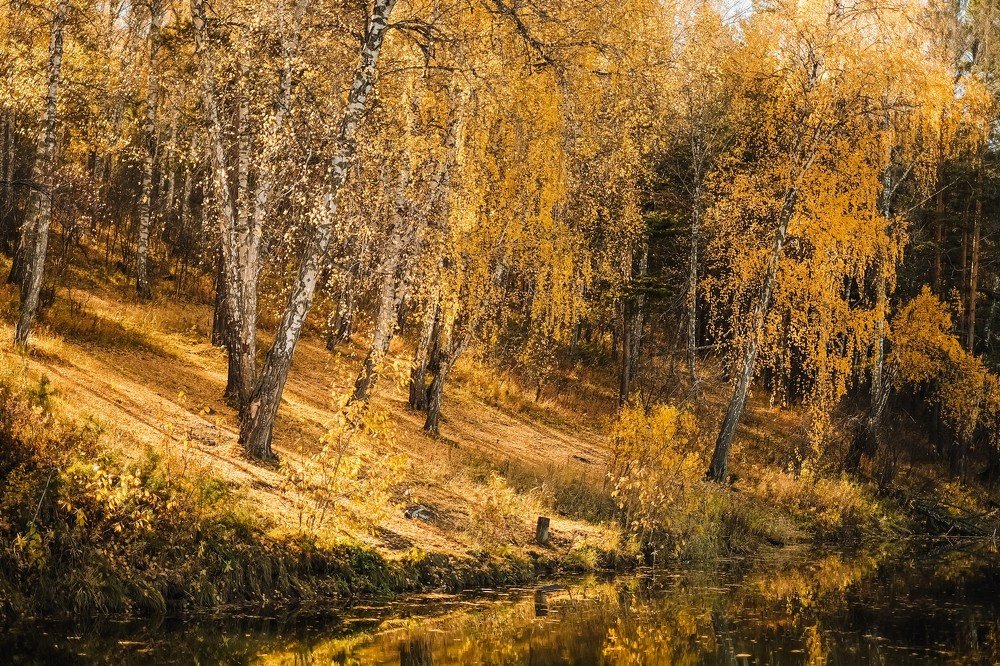 Фотография автора Анна Рыжкова