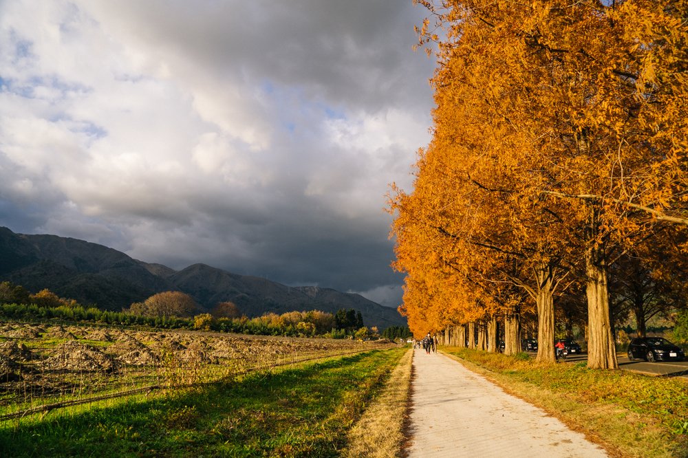 Фотография автора Наталья Барова