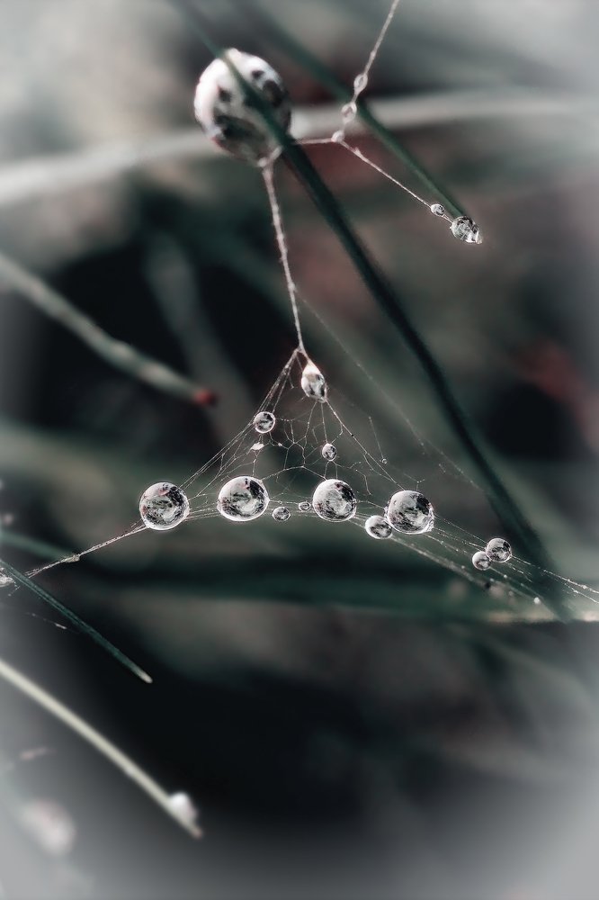 Photograph by Inna Etuvgi