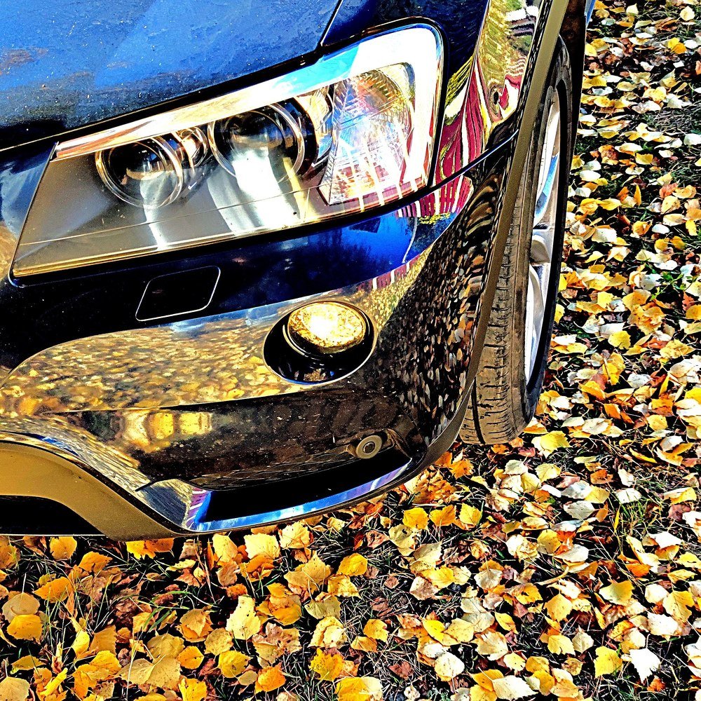 Photograph by Евгений Ужегов