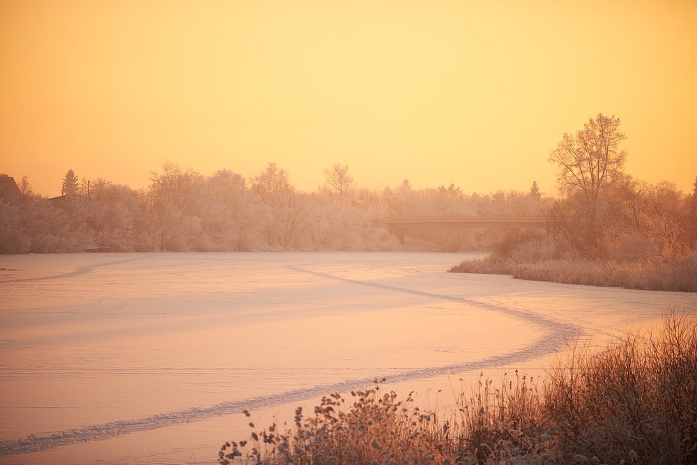 Photograph by Артём Козлов