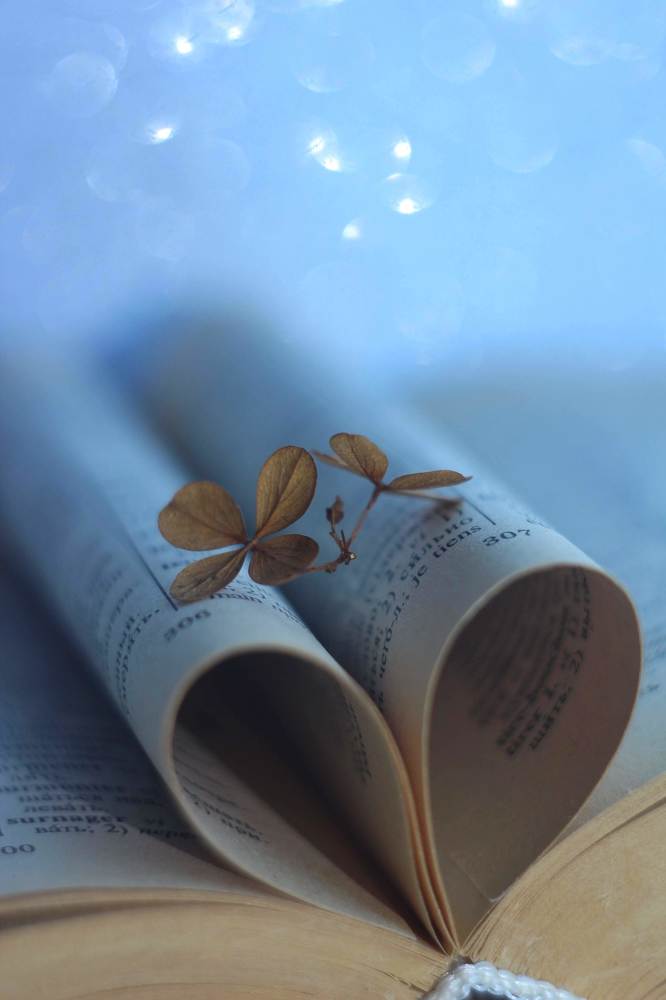 Photograph by Евгения Уманец