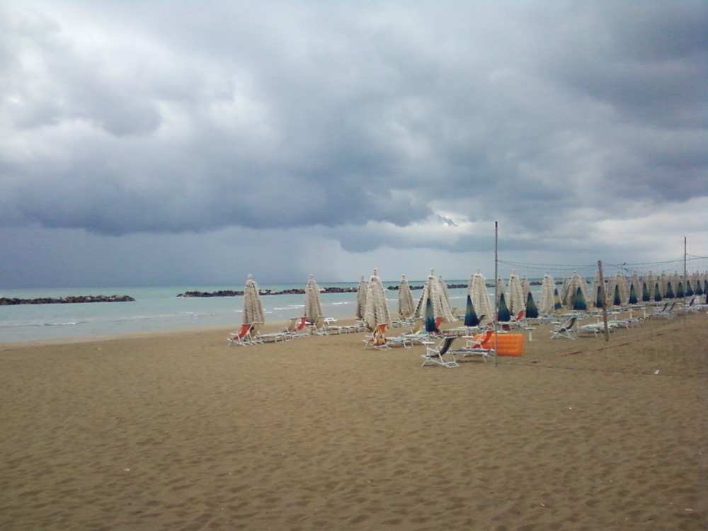 Photograph by ирина токарева