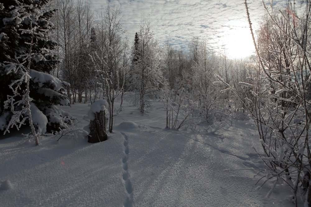 Photograph by Александр Полюдов