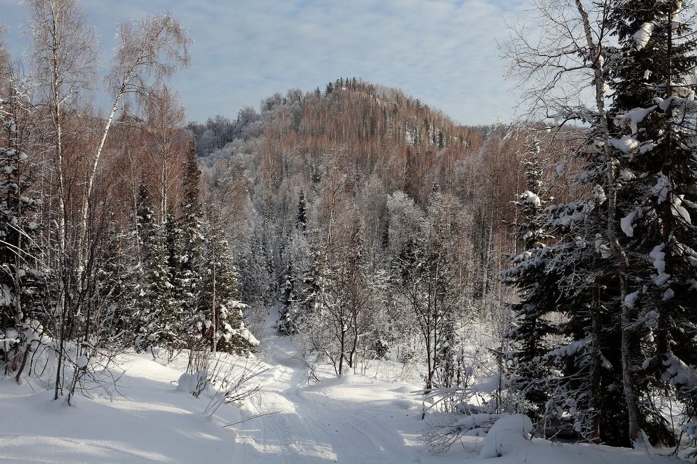 Photograph by Александр Полюдов