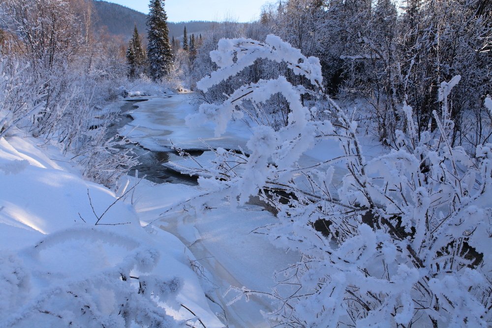 Photograph by Александр Полюдов