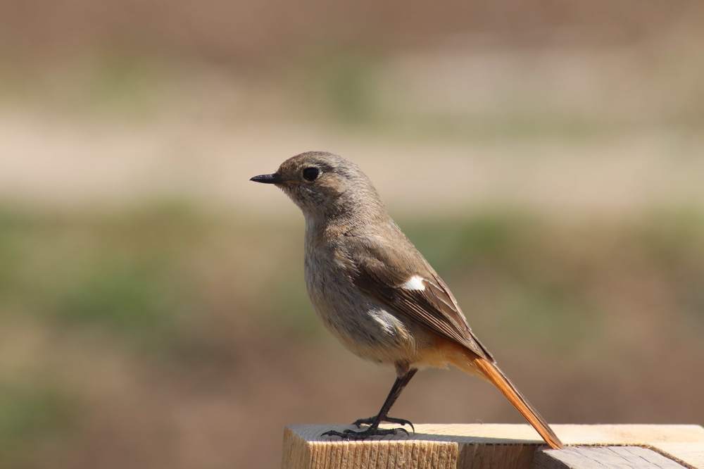 Photograph by Антон Бирюков