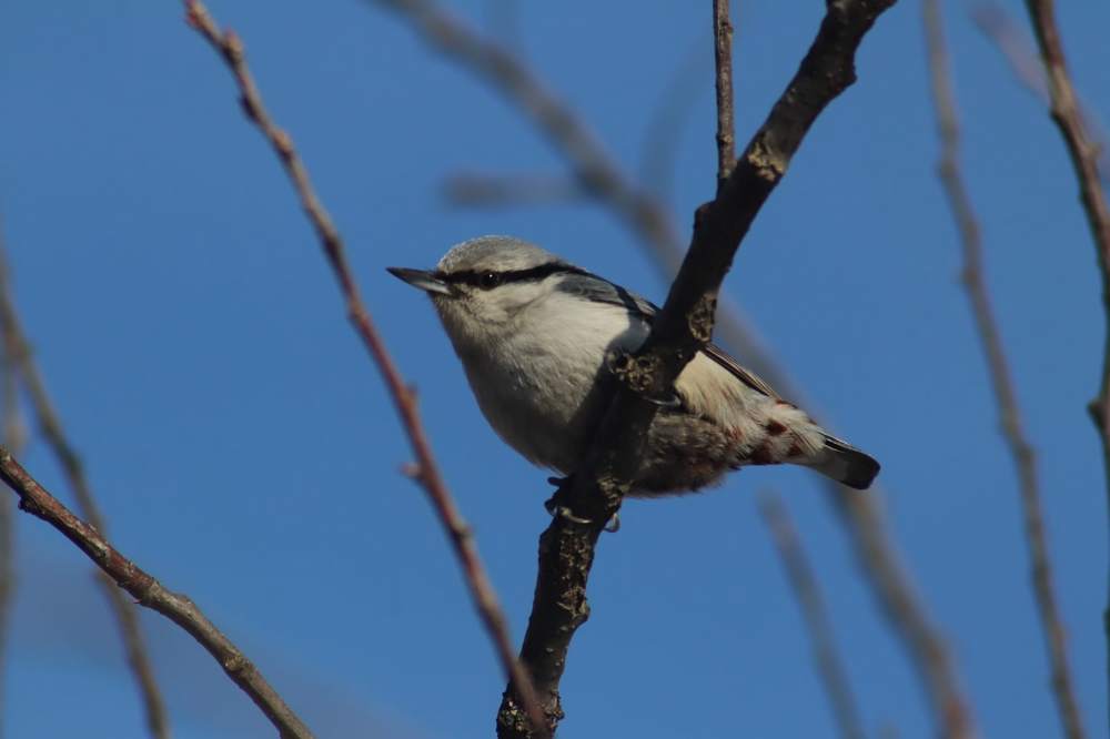 Photograph by Антон Бирюков