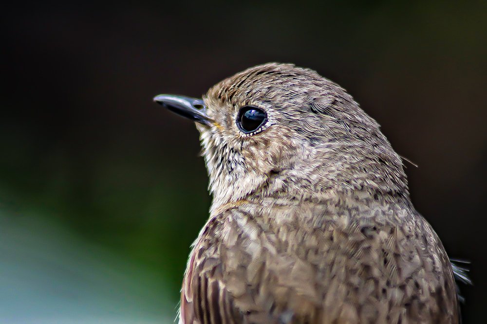 Photograph by Антон Бирюков