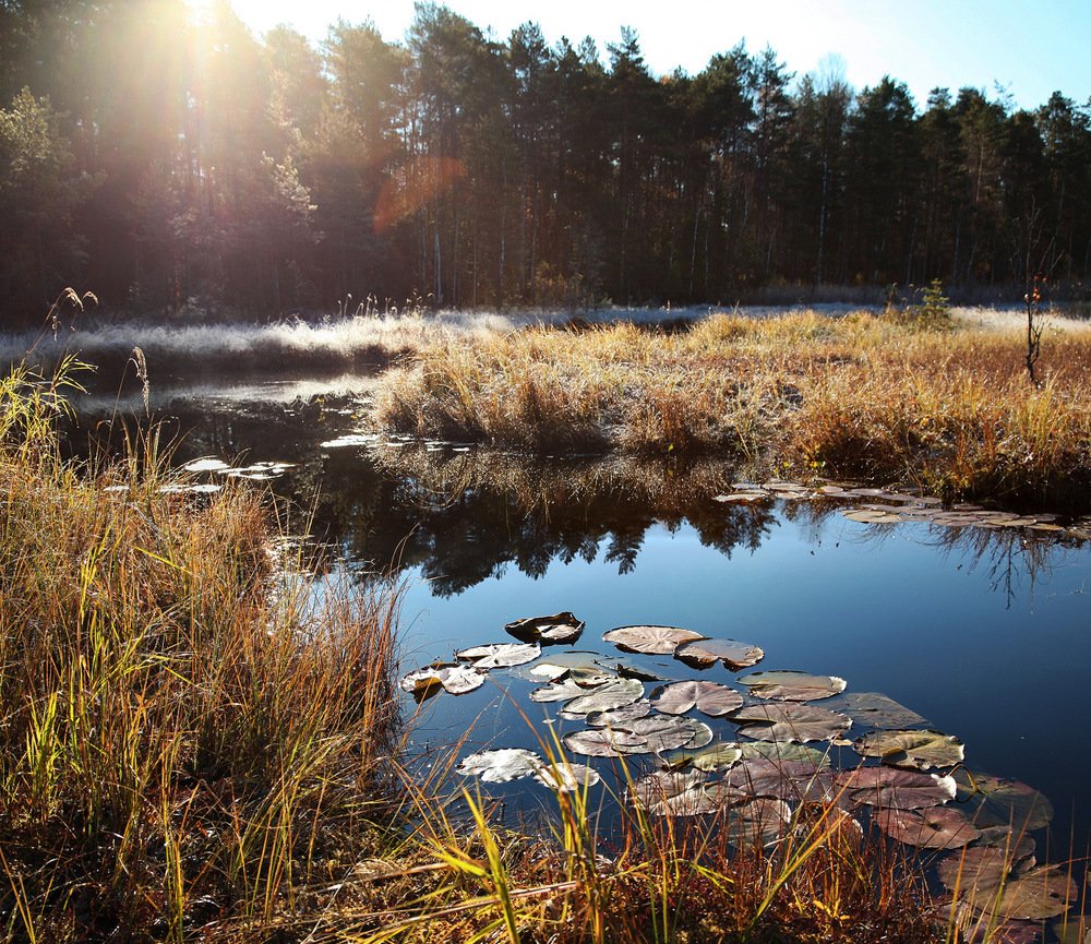 Photograph by Олег Фокин