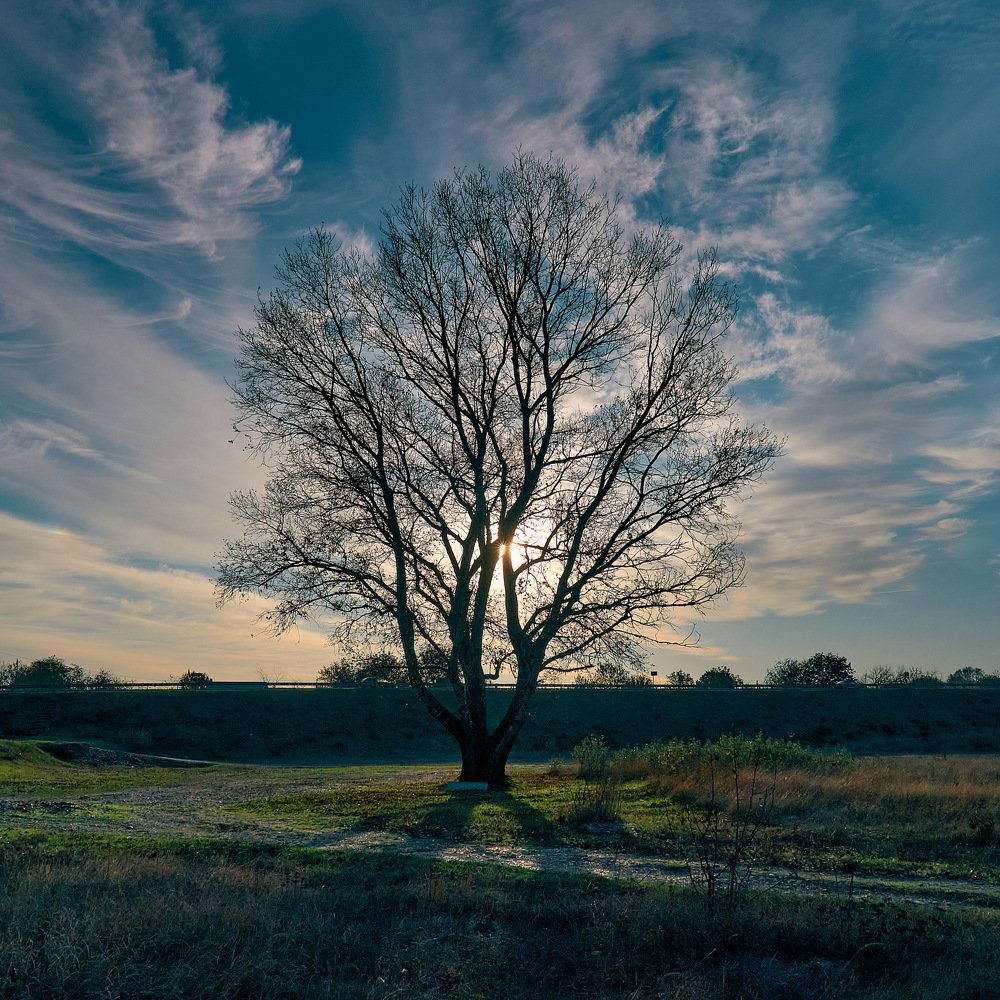 Photograph by Андрей Чуприна