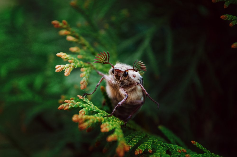 Photograph by Наталья Золотарева