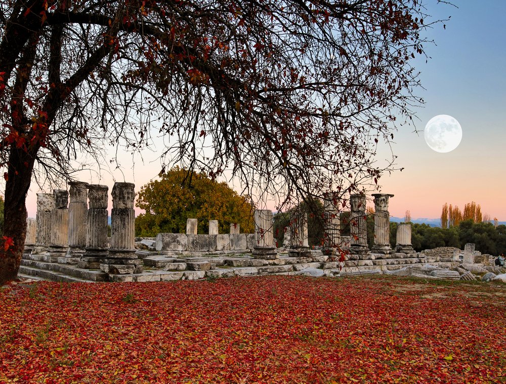 Photograph by AYKUT SEVINC