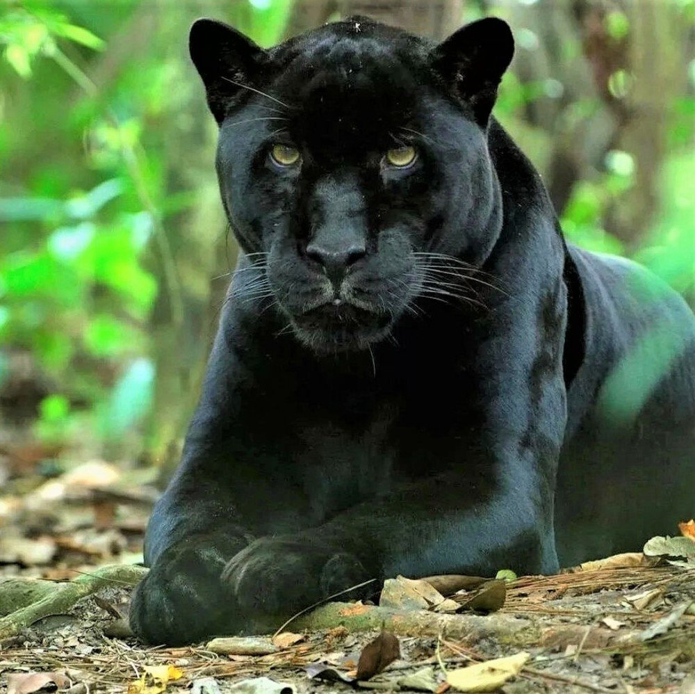 Photograph by Галина