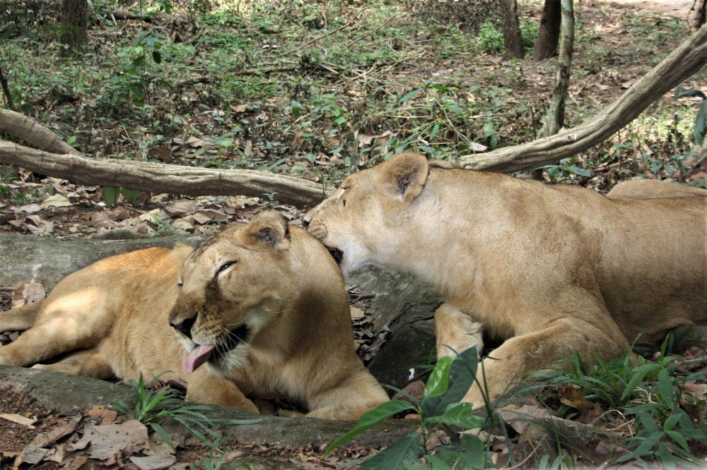 Photograph by Галина