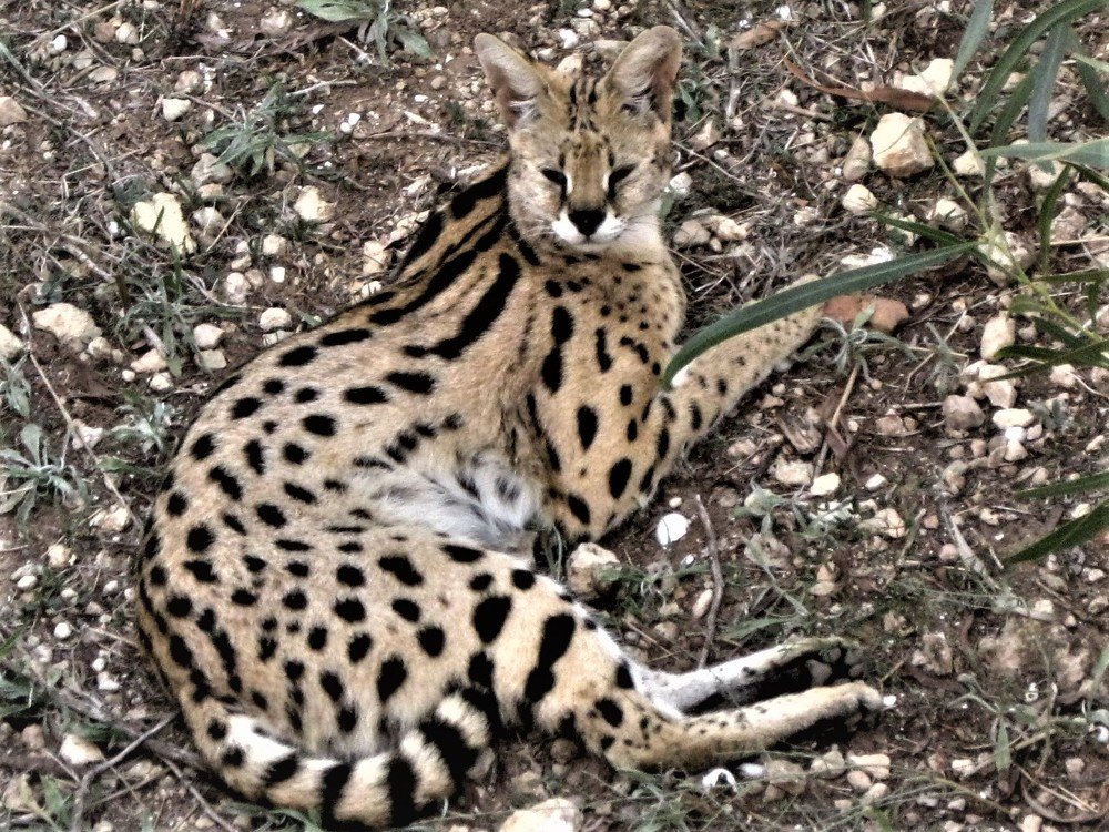 Photograph by Галина